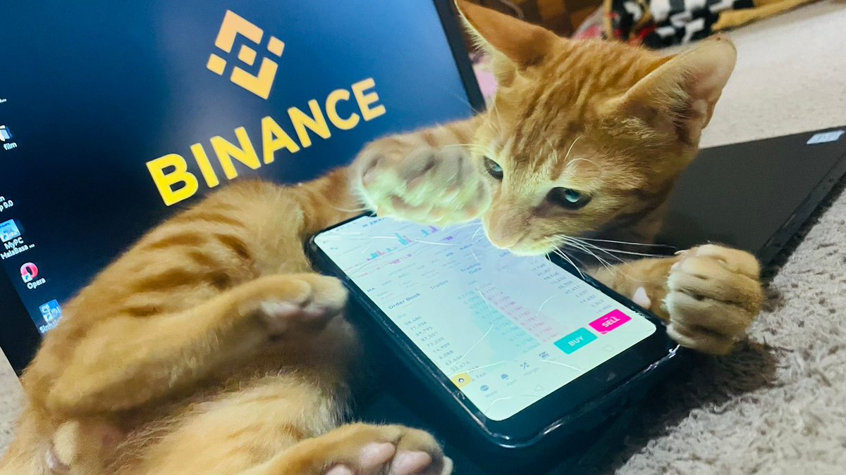Geetha9696's tweet photo. A CAT DOES NOT WANT ALL THE

WORLD TO LOVE

HIM. ONLY THOSE

HE HAS CHOSEN

TO LOVE.#BinanceCat  #Binance 🇱🇰🖤🇱🇰 https://t.co/si2bOkhahg