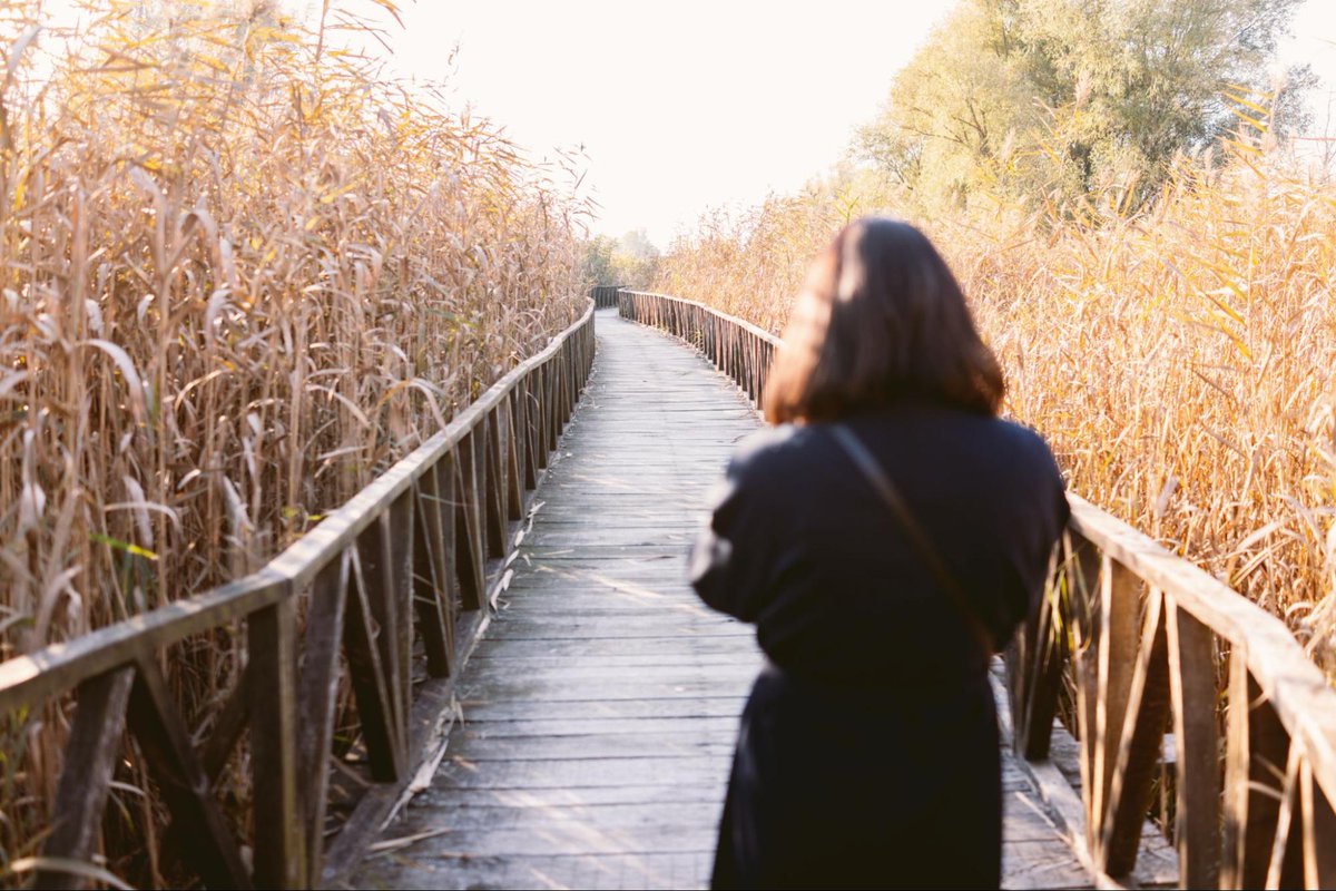 dmbfinancial's tweet photo. There are no quick fixes for overwhelming #creditcarddebt. But there are people ready and willing to help you find the path to #FinancialFreedom.

Over 30,000 people have successfully settled their debt with DMB Financial. Learn how: https://t.co/LQSQfdK4s9
#debtsettlement https://t.co/rrayDM15Zh