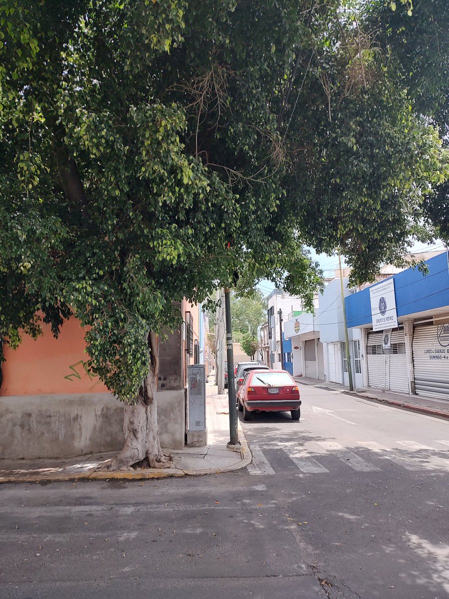 GPineda007's tweet photo. @Trafico_ZMG el semáforo de Pino Suárez y Gral Arteaga sin visibilidad https://t.co/2ixti7hbjj