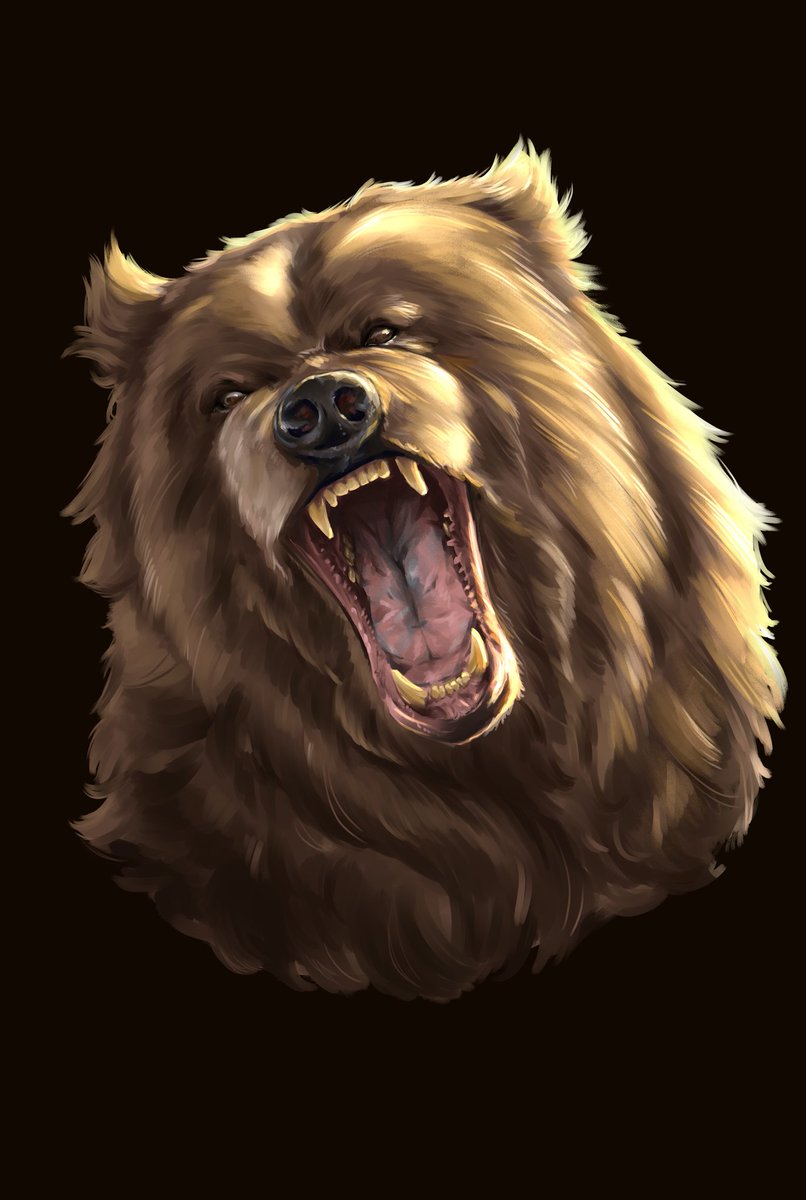 LauraRotaru_'s tweet photo. A bear study bcs I don't draw enough animals 
#digitalart #art #ArtistOnTwitter #digitalpainting #illustration https://t.co/fQ1uRvJUa3