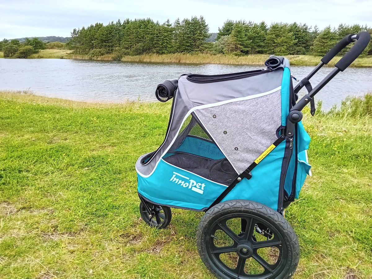 angiloveslife's tweet photo. 7 miles along the beach coastal path, fields & tracks to get lunch at Pwll & back to Burry Port for a 99🍦Lovely day spent with my brawd #Pwll #BurryPort #ChestersChariot #coastalpath #beach #walks #lilydog #chesterdog https://t.co/P5Ze3VeSWw