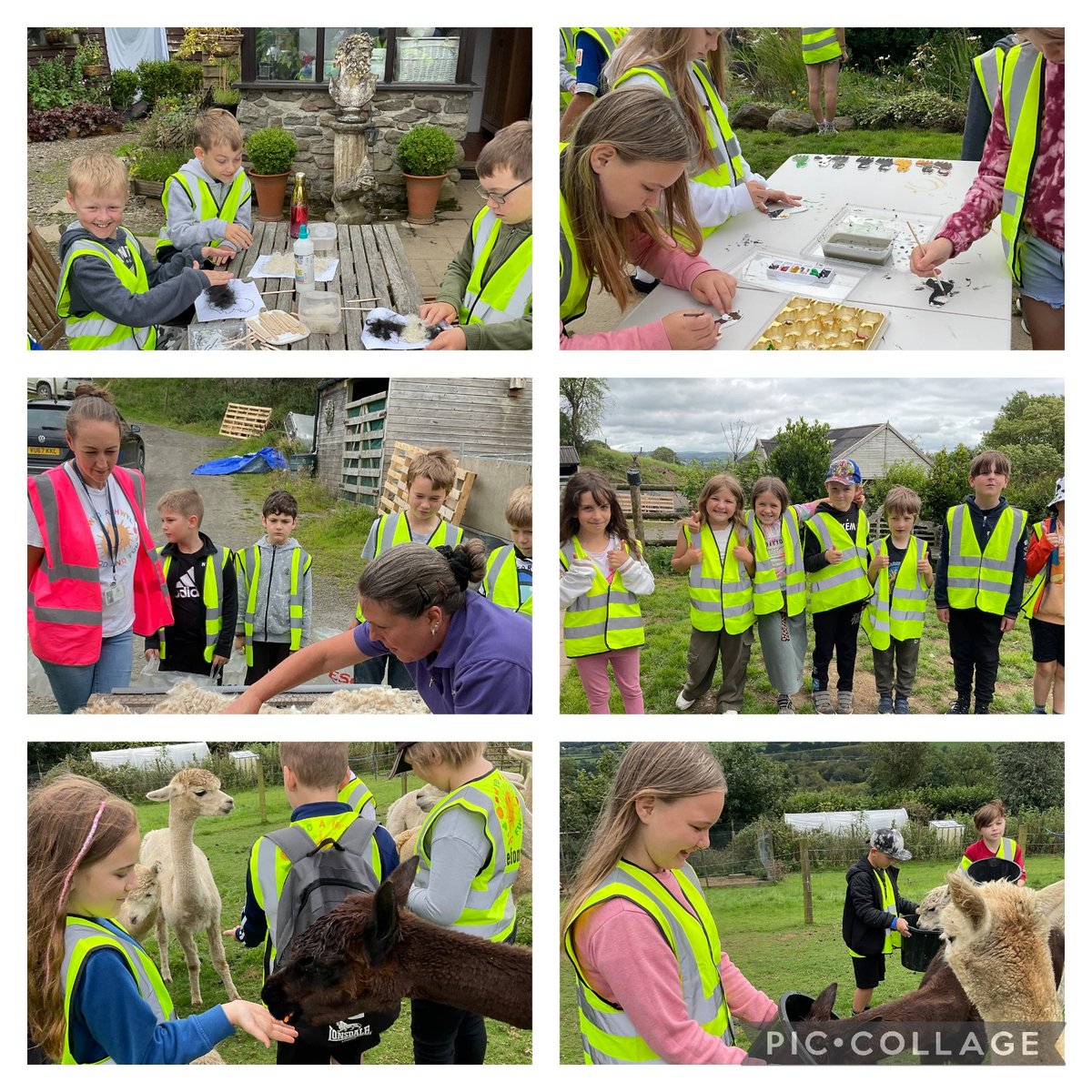 A huge thank you to Fronserth Farm Alpacas for looking after us today. We fed the alpacas, chickens, skirted wool fleece and did some Alpaca crafts🦙😀 Diolch yn fawr! <a href="/foodandfunwales/">Food and Fun Wales</a> <a href="/PowysCC/">Powys County Council</a> <a href="/powyseducation/">Addysg CS Powys / Powys CC Education</a>
