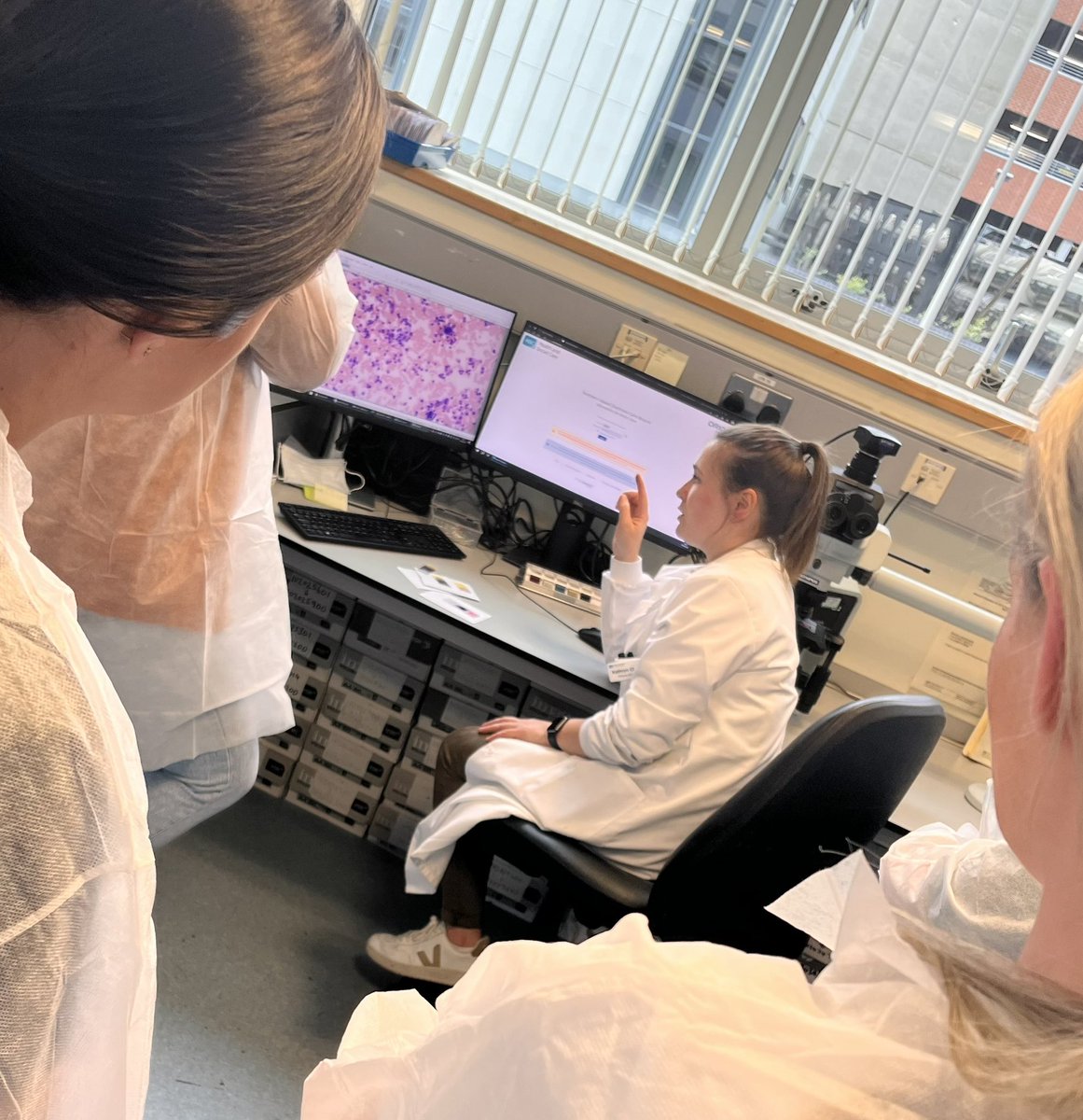 Laura Croan tweet media