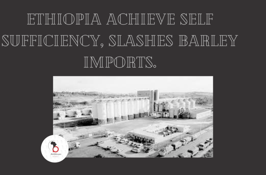 AfriSQuareEntmt's tweet photo. Ethiopia Achieve Self Sufficiency, Slashes Barley Imports.... read more here ===> 👇👇👇 https://t.co/QD8tBW1QCP