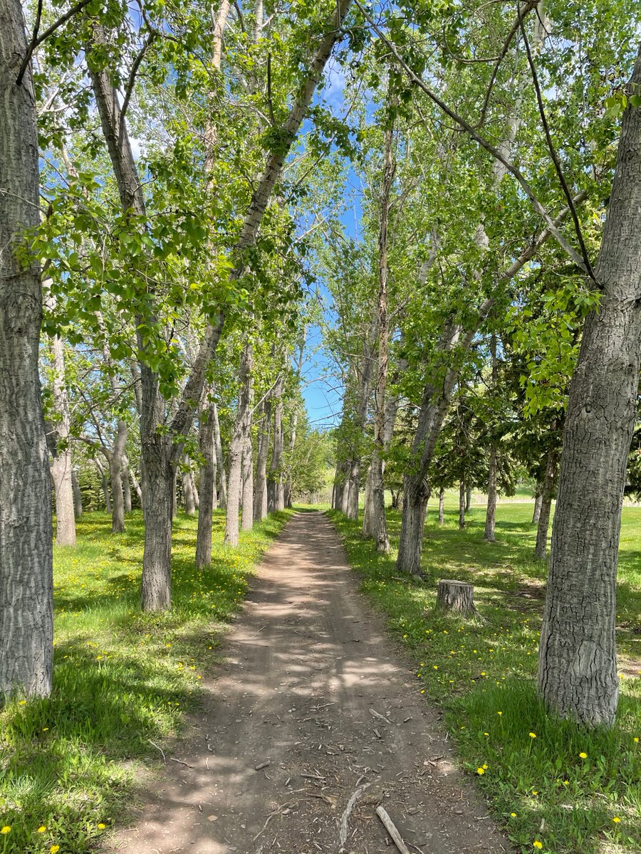 Good Morning Team NFT. 

Today seems like a good day to double down on tree planting. If you collect one of our NFTs today we will plant double the trees. 

#nfts #nftcommunity #nftcollectors