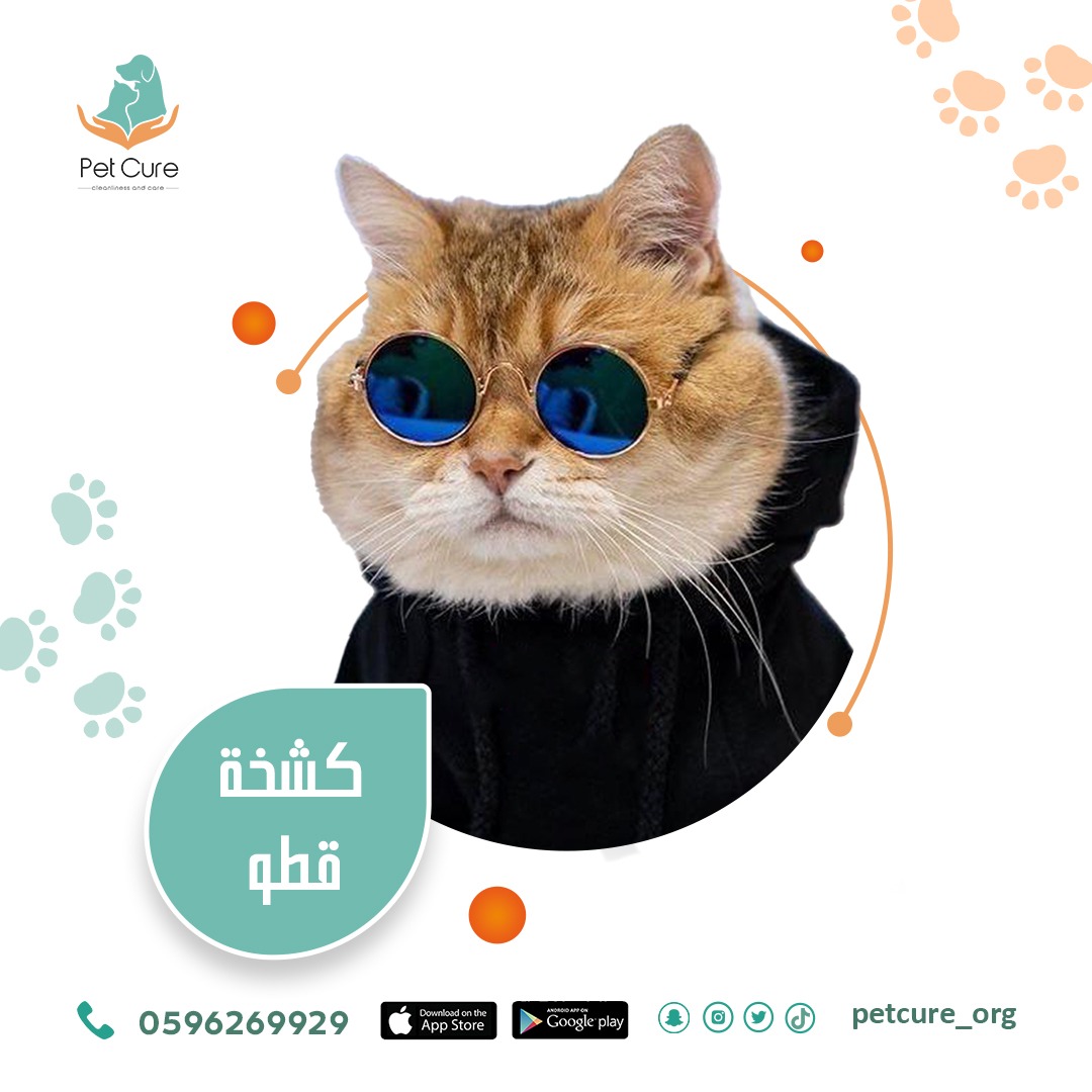 Petcure_org's tweet photo. تدلع نفسك وتهتم في نفسك طيب وأليفك ؟؟
لا تشيل_هم مع Pet Cure🐈🐶
#petcure
#قطط #كلاب #حيوانات_أليفة #dog #cat #cute#cats #kittycat
#Pets #pet_cure #petsupply #pet_photography #petcare #pet_services #pethealth #petsupplies https://t.co/nOqom7kckF