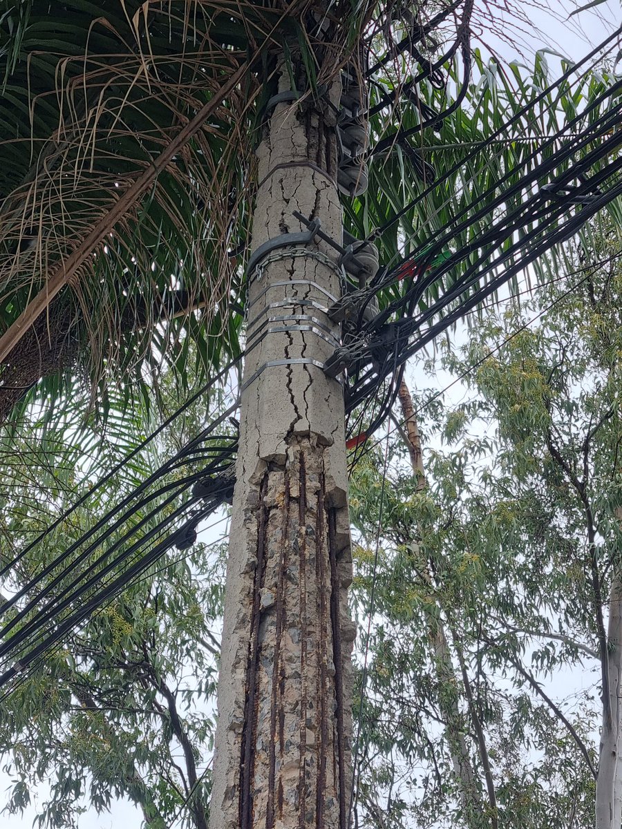 yosoyelro's tweet photo. @Trafico_ZMG @CFE_Contigo @CFEmx nos pueden por favor apoyar con este poste que se está cayendo a pedazos?
Representa un verdadero riesgo
Se encuentra en la esquina de Aurelio Ortega y Basilio Vadillo en la colonia Los Maestros https://t.co/ITqkiBHd4Q