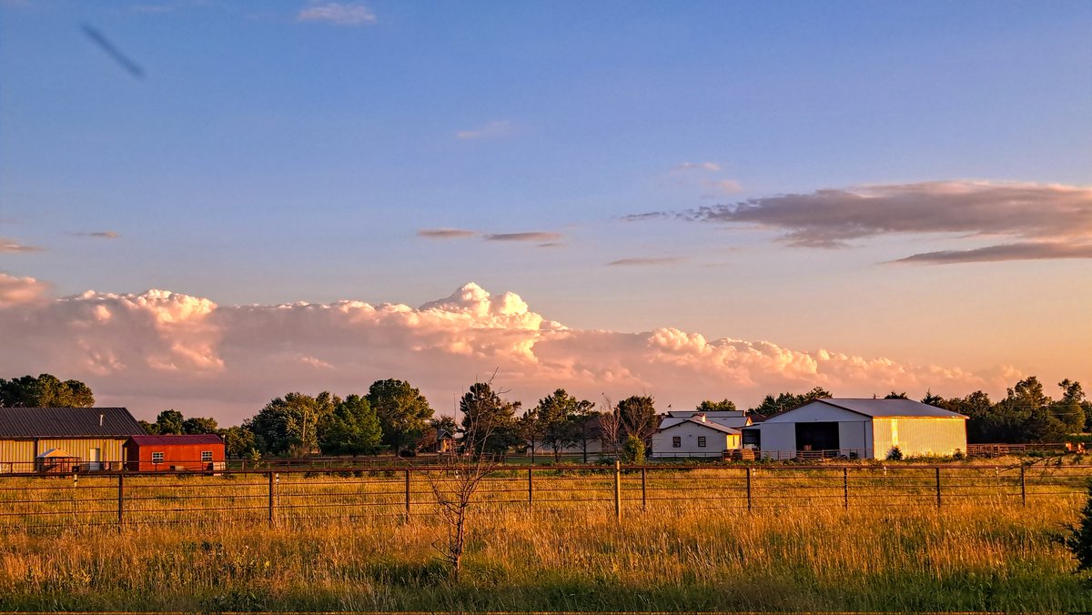 MountsofKansas's tweet image. Twin Peaks