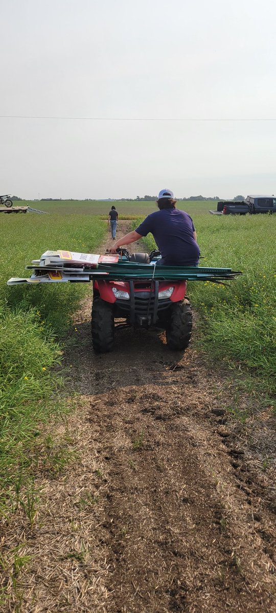 EAServicesLtd's tweet photo. Cheers to an amazing summer with Colby Norman, our dedicated summer student! 🌞🌱 His hard work and positive attitude made a huge difference!
As we wrap up, we're excited to announce that we'll be searching for 2 summer students this winter to join our EA team next year! 🌟 https://t.co/pnjHUH3ZJi