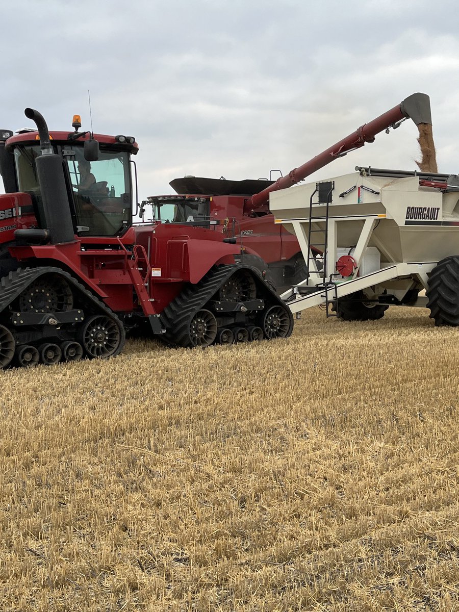 405farmer's tweet photo. “It’s a beautiful thing. Think I can keep it all in.” #harvest23 #hardredwheat ⁦@Case_IH⁩ ⁦@SaskWheat⁩ https://t.co/5QcNa6D6vo