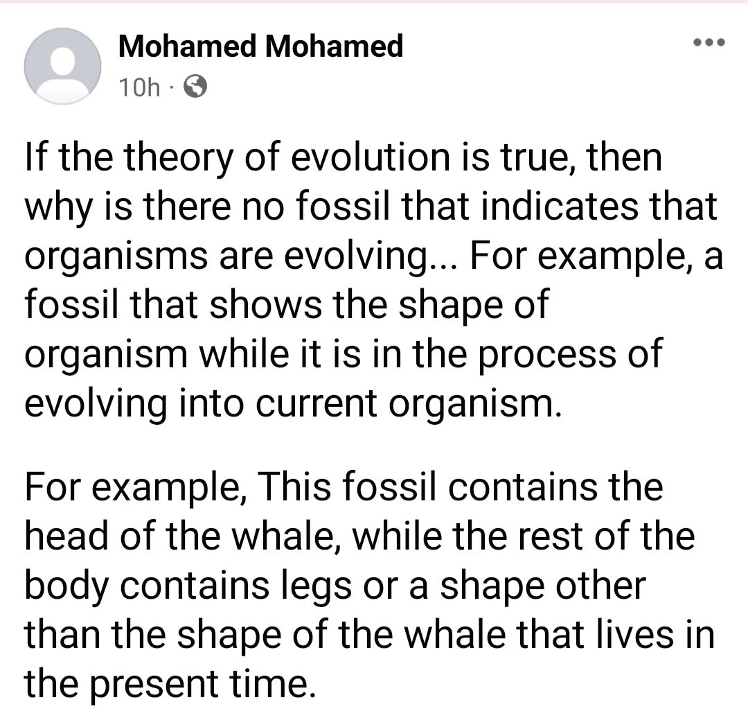 Christians say the darndest things tweet media