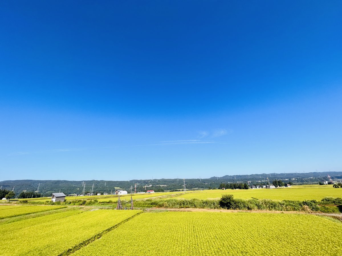 おはようございます！
今日の十日町市は晴れ☀

今日も１日がんばりましょう！

#企業公式が毎朝地元の天気を言い合う 
#新潟県