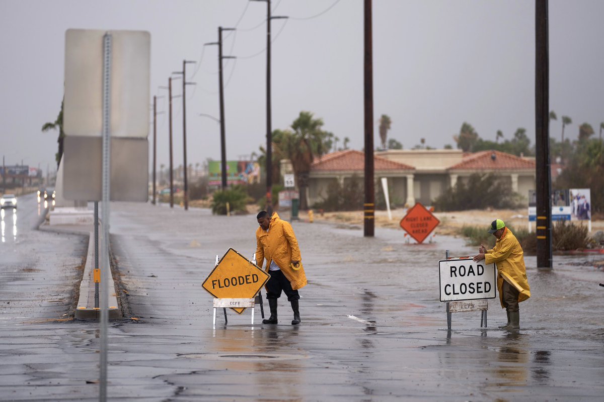 Allison Dinner tweet media