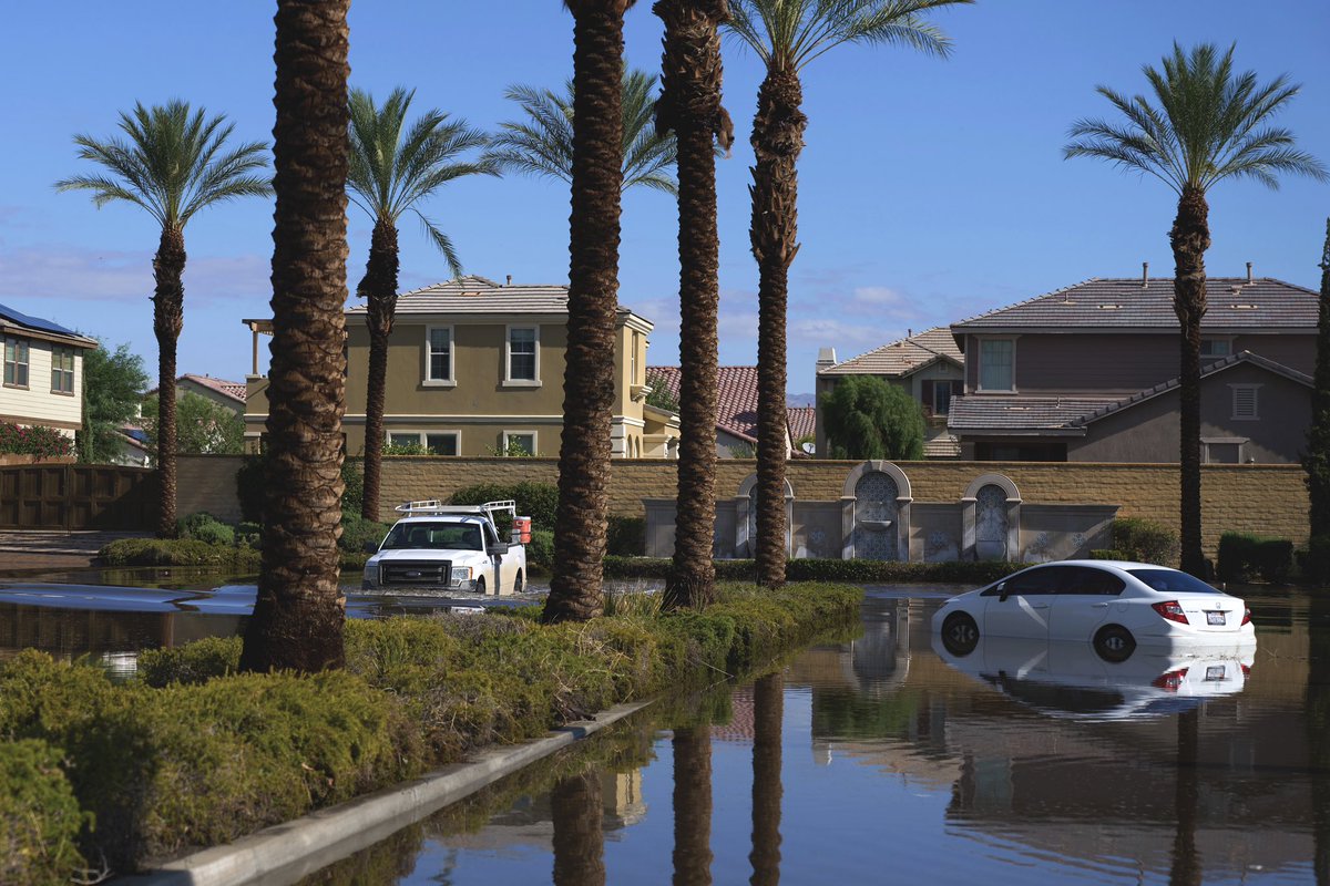 Allison Dinner tweet media