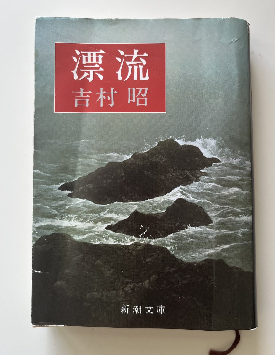 川邊さんおすすめ小説「漂流」。
岩とアホウドリしかない島で生き抜いた人の話なんですが、日々のちょっとした悩みなど大したことないなと思えてるくるほどのハードさ。
こんな限界的な状況で、自分だったらどんなマインドを持てるか想像してみるだけでも鍛えられます。
※アホウドリは渡り鳥。