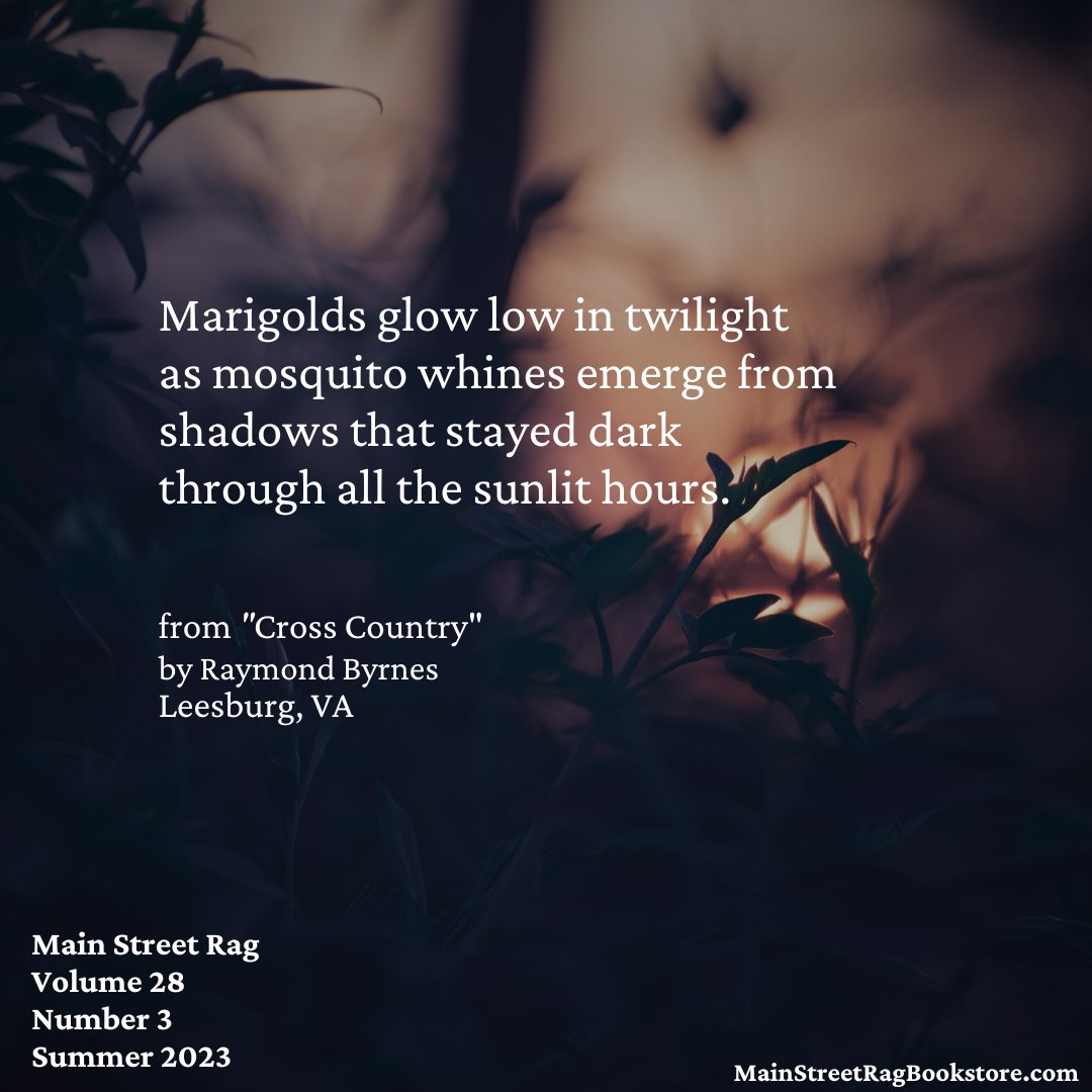 MainStreetRag's tweet photo. Main Street Rag | Summer 2023
.
Current Issue: https://t.co/oLNHD53KCV
.
Subscription: https://t.co/qN3TFJhQhO
.
#poetry #fiction #litmag #indielitmag #leesburg #leesburgva #virginia https://t.co/9CUhG95ejQ