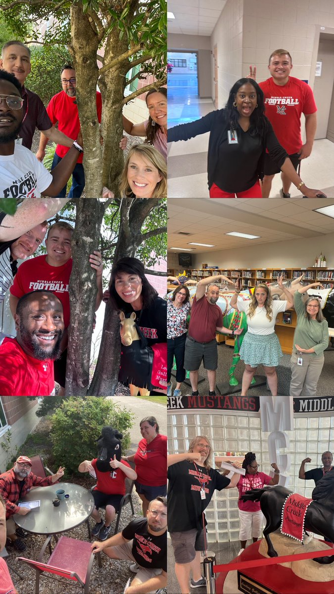 mchsmustangs's tweet image. 1st day back in the #STRONGstable! Check out these Mustangs in the Wild 🐎👀! #BetterTogether