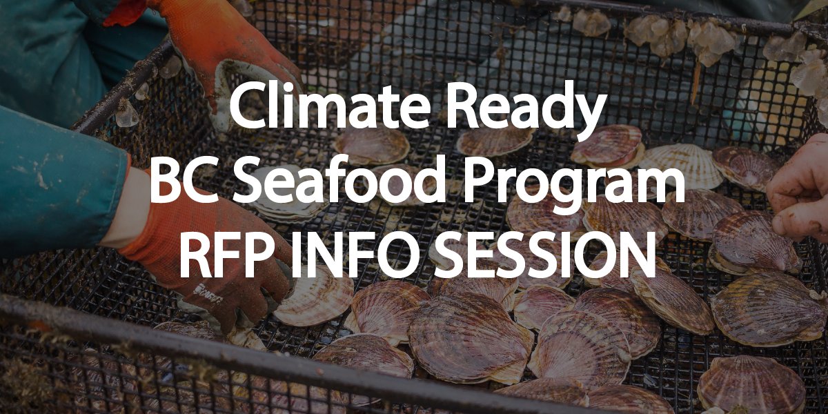 We're very excited to announce that RFPs are now open for the #ClimateReady BC Seafood Program - a @UNOceanDecade endorsed action. We'll be hosting an online info session on Sept 6th at 10 am PDT to answer any questions you may have about this $1.7 M fund. oceandecadenortheastpacific.org/events/climate…