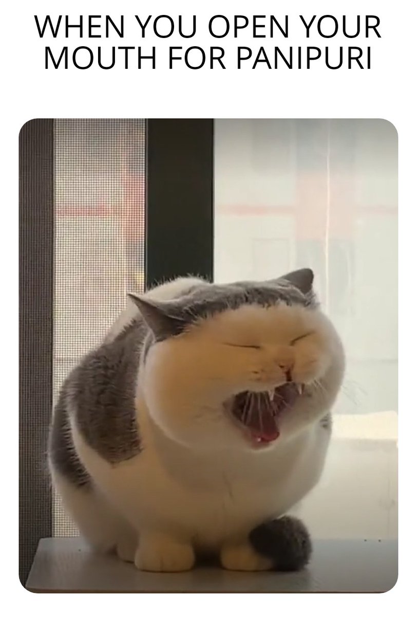 memeteether's tweet image. 