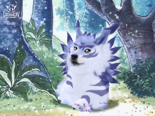 NextDigimon's tweet photo. Beautiful memories and good memes last forever.
Balltze will never be forgotten even by those who never met him in person or in dog. Cheems, goodboy!  
I like to imagine that just like a Digimon, he was reborn somewhere to make other people happy too.
I love you, bonk #RIPCheems https://t.co/bMdsBx3Ffz