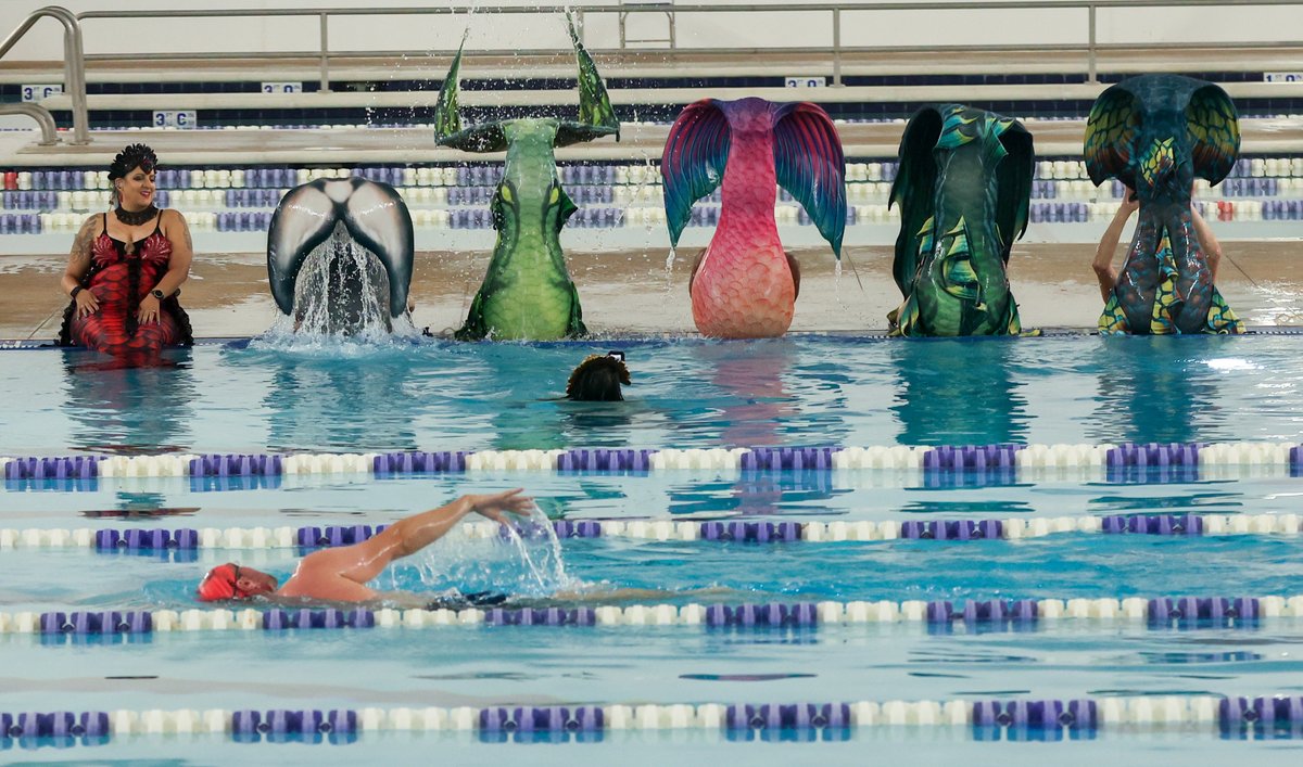 Christine Tannous tweet media