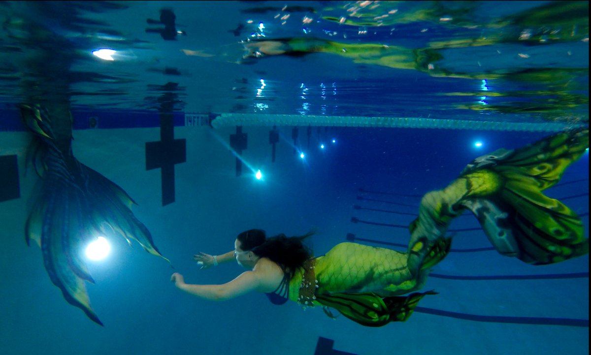 Christine Tannous tweet media