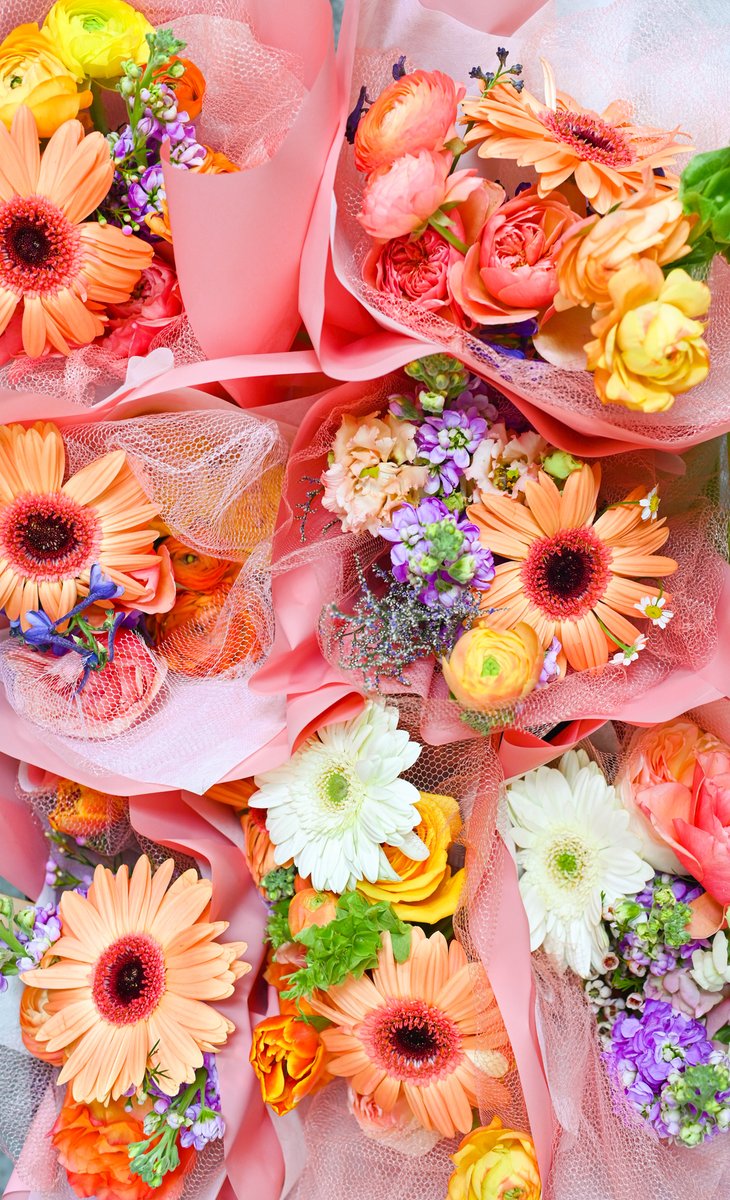 Penelope_Pots's tweet photo. We have the blooms! 🌸 stop by today and tomorrow and show this post for 50% off your flower bar selections! Happy Monday friends!

 #florals #florist #orangecountyflorist #floralarrangement #floraldesign #floralbouquet #californiawedding #belmontshore #sealbeach #uniqueflowers https://t.co/7JnhXbifxS