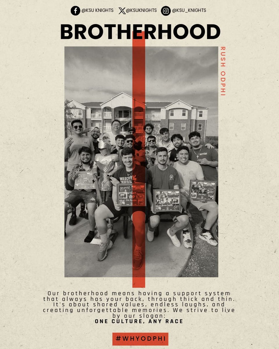 A true brotherhood 🛡⚔️