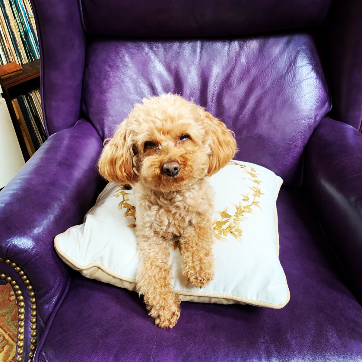 Greta Blackburn tweet media