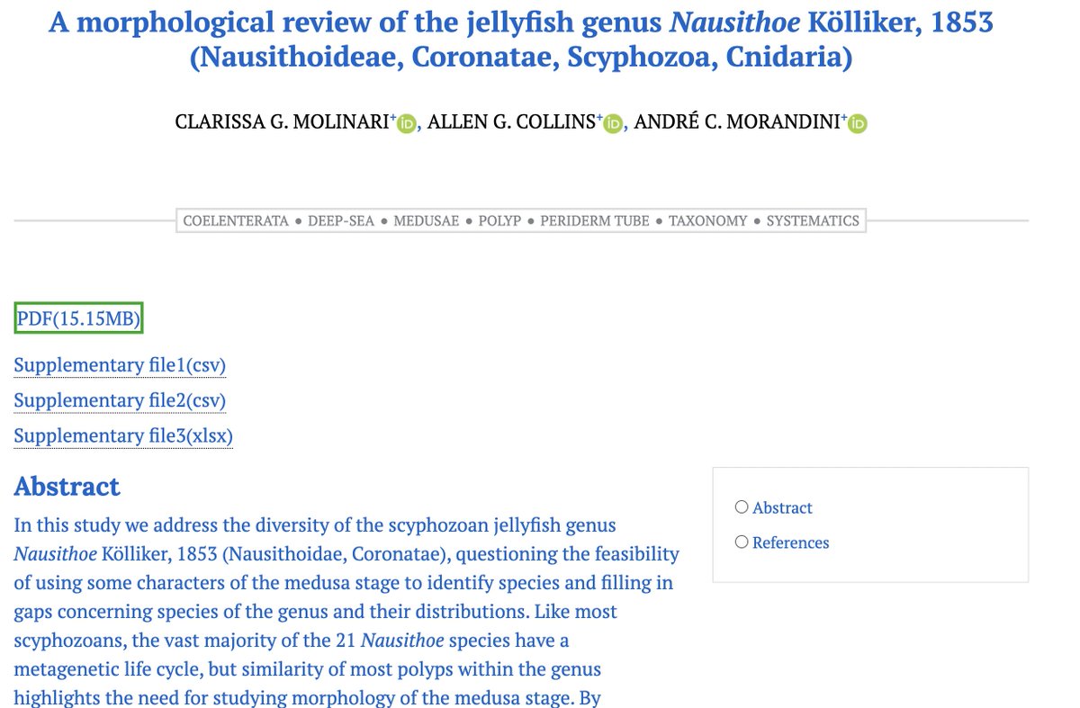 Check out this NEW paper on the jellyfish NAUSITHOE by NOAA scientist in the department Allen Collins and colleagues, Clarissa Molinari and Andre Morandini!  #medusamonday #marinemonday mapress.com/zt/article/vie…