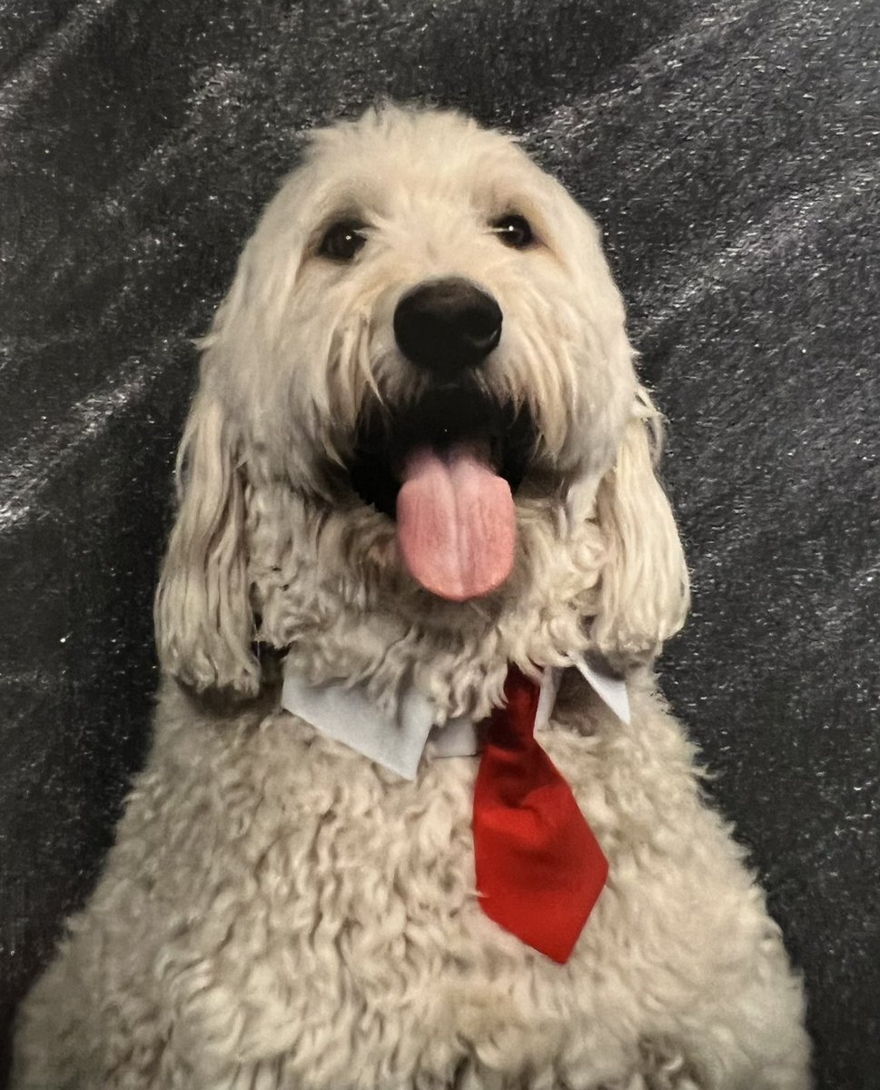 I showed my biggest smile for picture day!