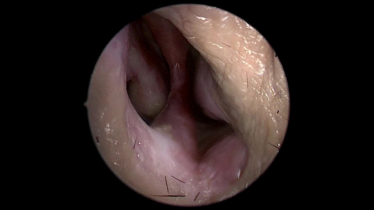 John Craig, MD tweet media