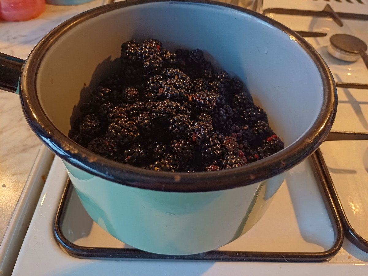 kendie's tweet photo. My first attempt at jam making ... blackberry, ginger and some warming spices! Happy that I got use the old green saucepan (inherited from previous owner of my house). They were perfect, heavy bottomed and nothing burnt. #makingjam #jammaking https://t.co/2q6Kw484qx