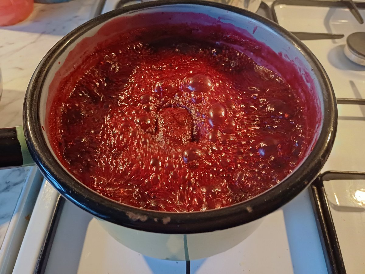 kendie's tweet photo. My first attempt at jam making ... blackberry, ginger and some warming spices! Happy that I got use the old green saucepan (inherited from previous owner of my house). They were perfect, heavy bottomed and nothing burnt. #makingjam #jammaking https://t.co/2q6Kw484qx