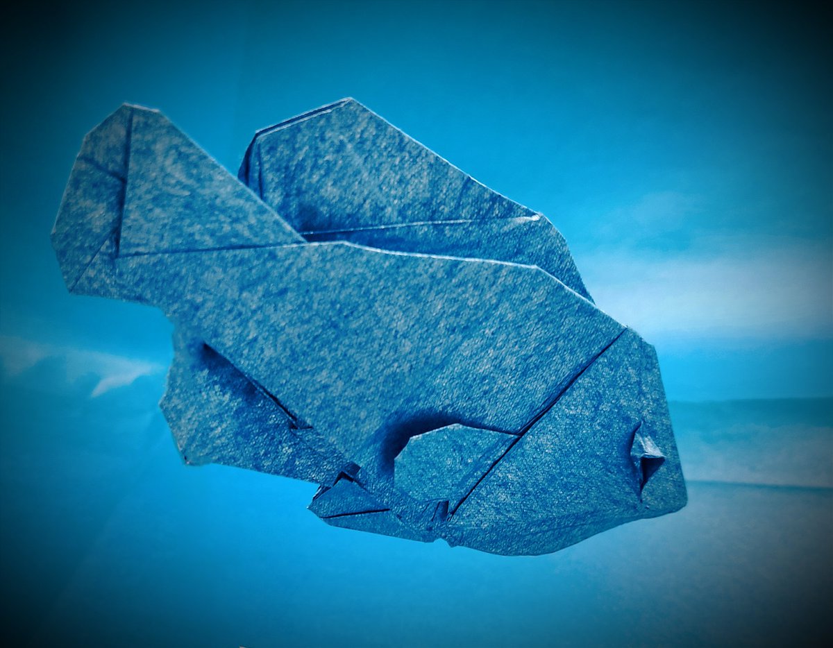 BorisZobak's tweet photo. Oscar by Kakami Hitoshi  20x20cm #origami #fish #origamifish #paper #PaperCraft #tanteidan https://t.co/zoccp74djn