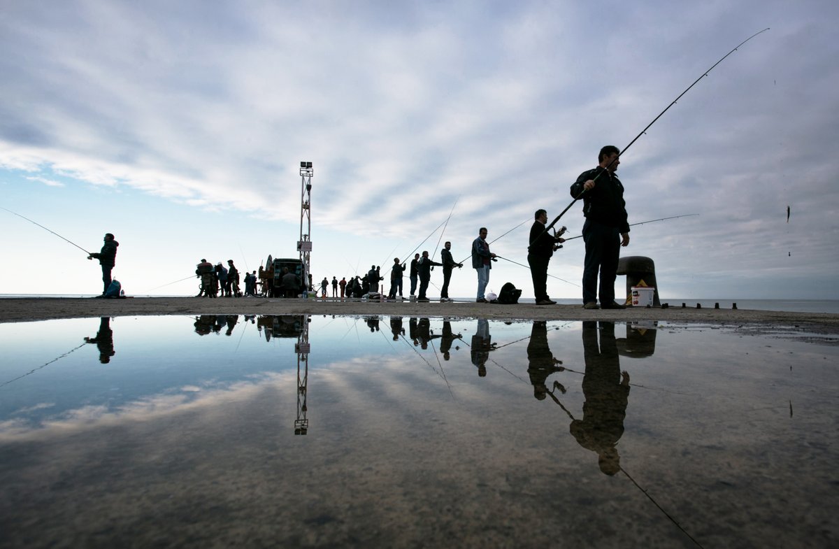 Sizce bu fotoğrafı etkili kılan özellikler nelerdir? 
What do you think makes this photo effective? #fotografia #Fotografie #Turkey #fotoyorum #iphone #iPhone14Pro #iPhone15 #Samsung  #canon #nikon #sony #fujifilm_xseries #fujifilm #photography #photooftheday  <a href="/ProfDemirtas/">Özgür Demirtaş</a>