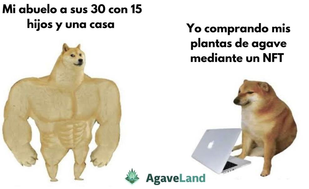 agaveland_latam's tweet photo. MEMES! 🤣🤣🤣
RIP CHEEMS 🫶
#cheemsforever https://t.co/qZvig7OPus