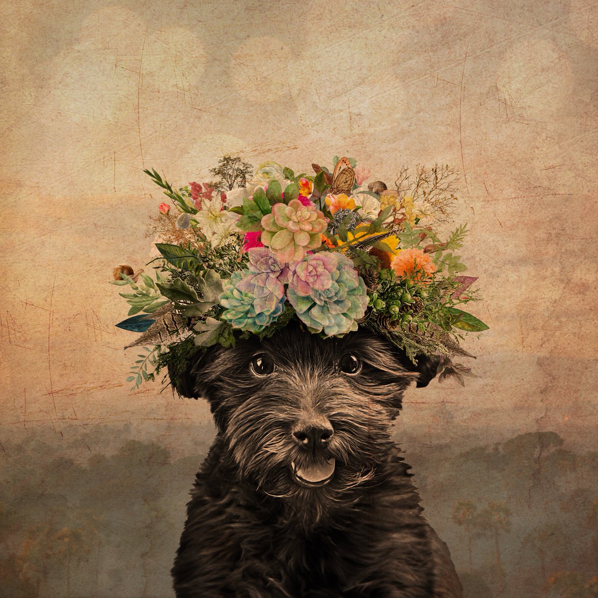monamauri's tweet photo. Pet Portraits  and Mona Costa Mauri
https://t.co/pu7yxo0iVs
#petportraits #monacostamauri #petloversofinstagram #petlovergift #petportraiture #doglife #doglovers #dogportrait #dogportraits #catportraits #catportrait #catportraiture #catlover #catlovers https://t.co/D0kA1p6k57