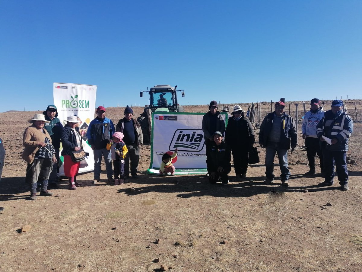 INIAPeru's tweet photo. [#Arequipa]
La EEA Arequipa mediante el #PROSEM, en coordinación con el Tambo del programa PAIS - MIDIS, desarrolló la Charla: “Importancia de calidad de semillas e instalación de parcela demostrativa del cultivo Triticale, variedad INIA 906 SALKANTAY”, en Yanque, Caylloma. #INIA https://t.co/dMn7mbmYuG