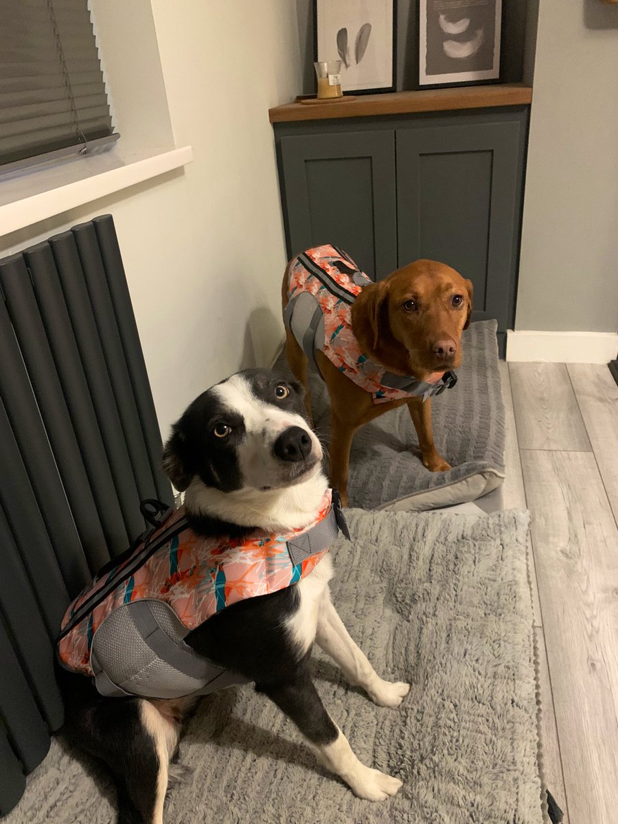 Miss Henery tweet media