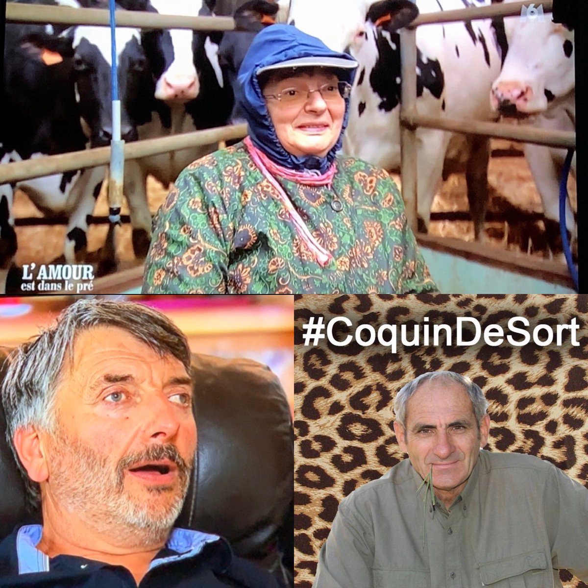 LukasIBZ's tweet photo. Difficile de les détrôner #adp2023 #adp https://t.co/YW0iHmLykz