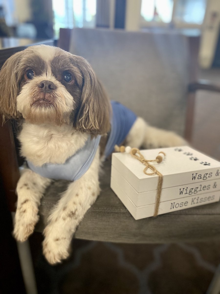 Ace is here to remind you of our Yappy Hour and Dog Show that will take place this Friday, August 25th from 2-4pm! 

#WhatsHappeningAtHarrisonSprings
#TrilogyLiving
#WhereFamilyComesToBelong