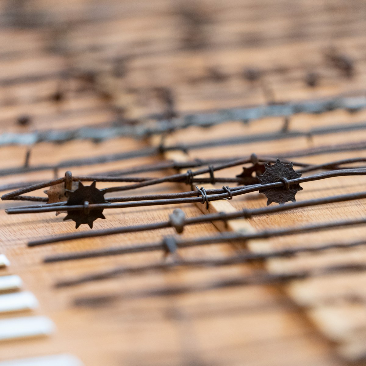 Texas A&M Foundation tweet media