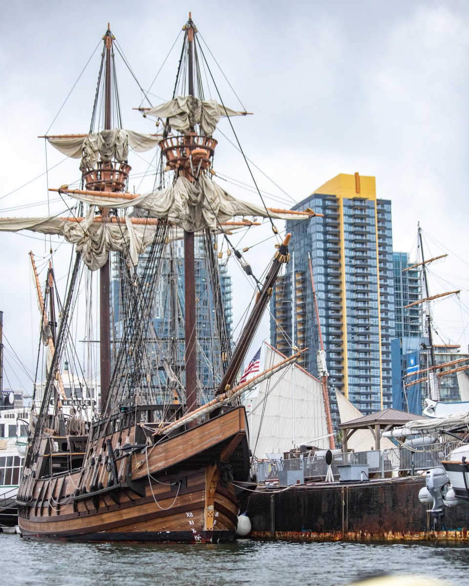 SDspeedboat's tweet photo. Check out the Maritime Museum! Home to world-class vessels ⚓

#sandiego #maritimesmuseum #exploresd #visitsd #thingstodoinsd #ships https://t.co/QG1KdhQ1Qn