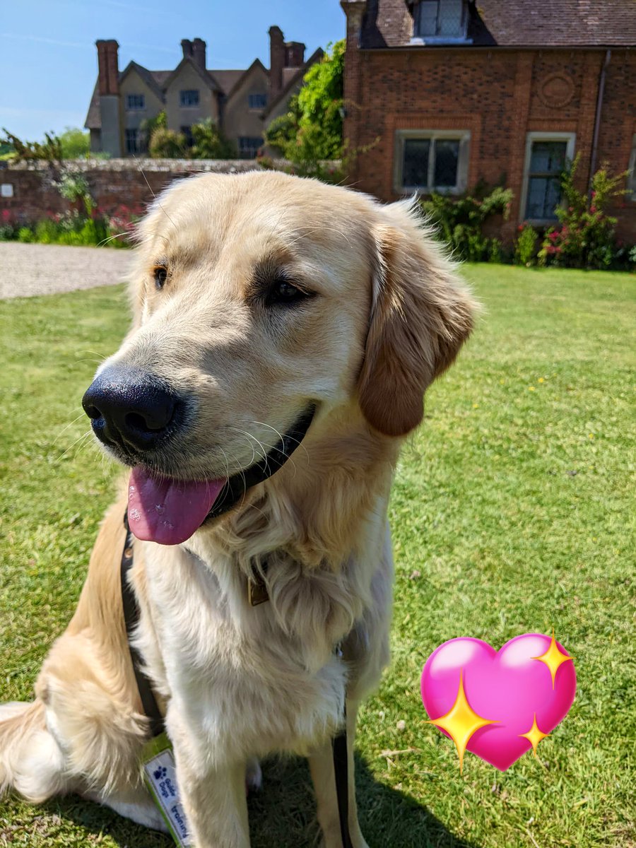 Lynne and Helen gave an @guidedogstalk today to the members of #PROBUS #HamptoninArden Murphy of course stole the show, charming the members and eliciting lots of very generous donations. Thank you for making us welcome