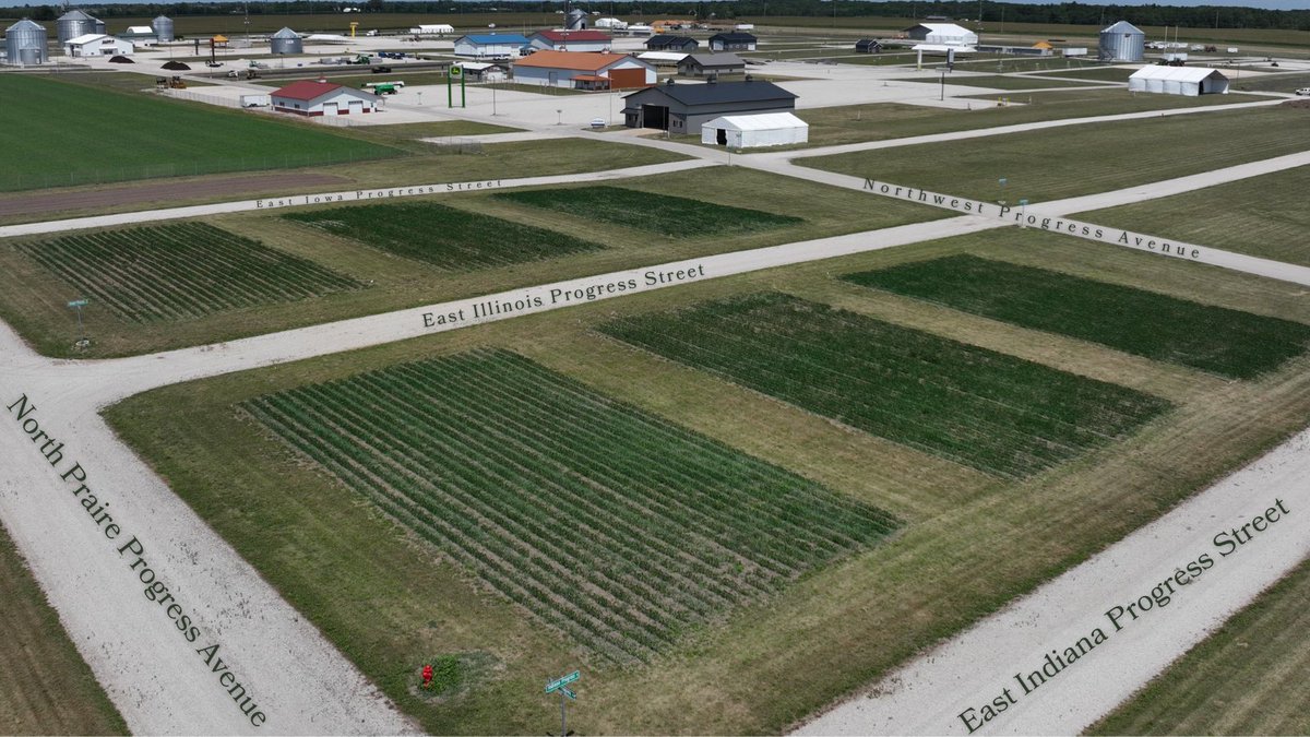 The @ILSoybean Agronomy Plot will have a mixture of cover crop varieties for @FPShow visitors to explore! Witness how to integrate cover crops into agricultural systems for enhanced sustainability and productivity. Learn more. bit.ly/47oVm5G