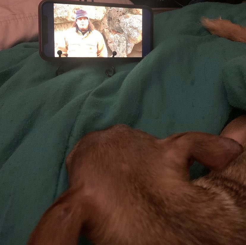 MouseFroehler's tweet photo. When your chihuahua is a HUGE @squatcher fan. You tell her “Wanna watch the Bobo?” She goes in circles and wants the phone Now. 

And she will lay there for EPISODES watching. https://t.co/qeNZn1JNFL