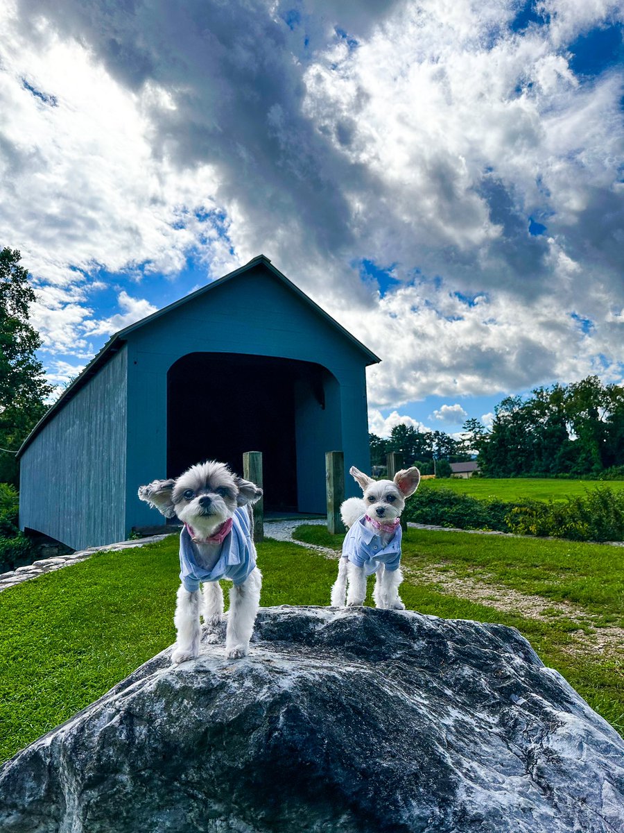 TINKERBELLEadog's tweet image. “WOOF! Went to the bezerkshires and didn’t get abducted by aliens…so it’s all good!” - Tinkerbelle &amp;amp; Belle 🐶🌲👽 
.
.
.
.
.
#dogsofnyc #dogswhotravel #dogsbeingbasic #theberkshires #thebezerkshires #bravotv #rhony #dorindamedley #greatbarrington #alienabduction #alienencounter