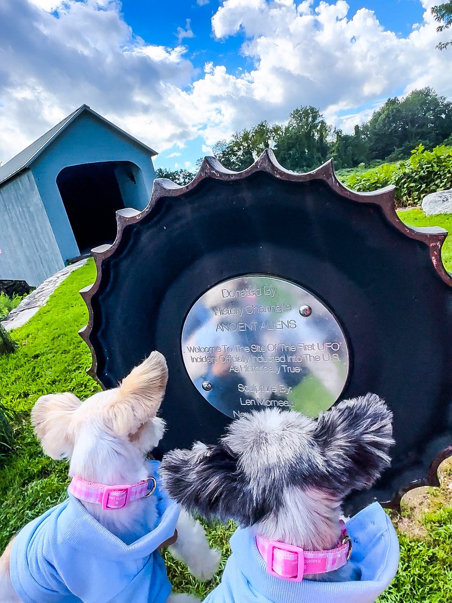 TINKERBELLEadog's tweet image. “WOOF! Went to the bezerkshires and didn’t get abducted by aliens…so it’s all good!” - Tinkerbelle &amp;amp; Belle 🐶🌲👽 
.
.
.
.
.
#dogsofnyc #dogswhotravel #dogsbeingbasic #theberkshires #thebezerkshires #bravotv #rhony #dorindamedley #greatbarrington #alienabduction #alienencounter