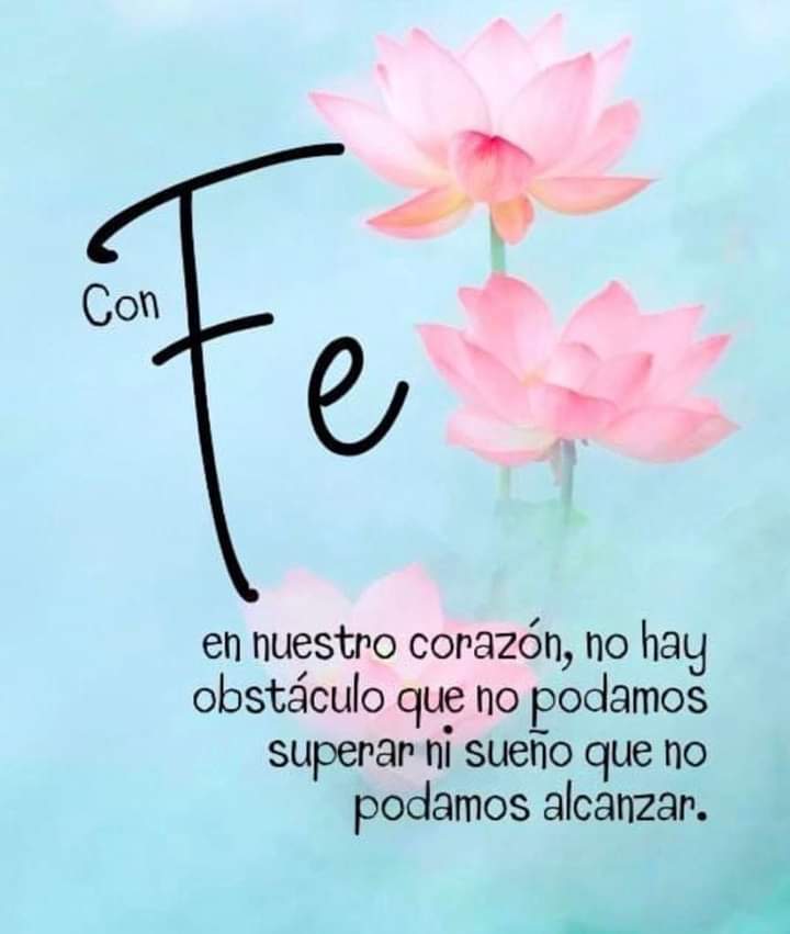 AlmaMoralesH's tweet photo. https://t.co/9exM7MqJfH